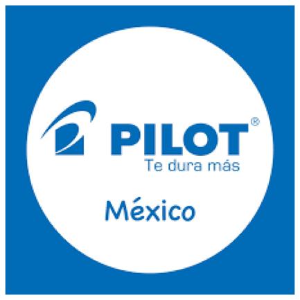 Resaltador Pilot KIRE-NA doble punta Cincel/Fino color Azul C/10