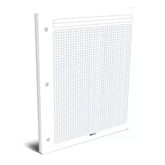 Hojas de repuesto para carpeta Rayter, c uadro 5mm, tamaño carta, 100 hojas