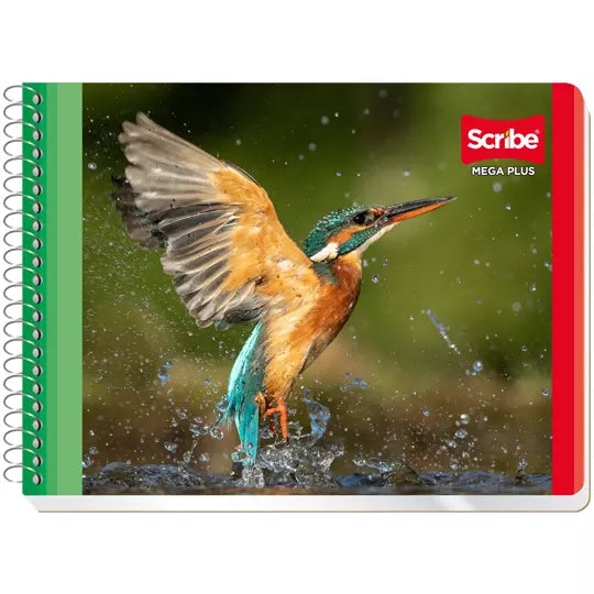 Cuaderno forma italiana SCRIBE Mega cuad ro grande (7 mm) con 100 hojas