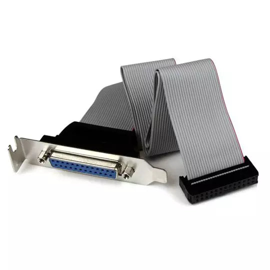 StarTech.com Adaptador de 40cm Header Cabezal Bracket Paralelo Perfil Bajo DB25 a IDC26 Pines Placa Madre - Cable for Placa Base - 28 AWG - Gris