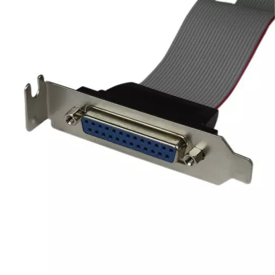 StarTech.com Adaptador de 40cm Header Cabezal Bracket Paralelo Perfil Bajo DB25 a IDC26 Pines Placa Madre - Cable for Placa Base - 28 AWG - Gris
