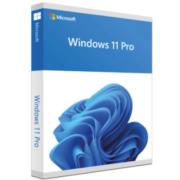 Microsoft Windows 11 Pro For Wrkstns 64 Bits Base License DVD-ROM Spanish