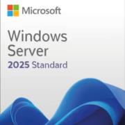 Software Microsoft Windows Server Standard 2025 64bits DVD-ROM