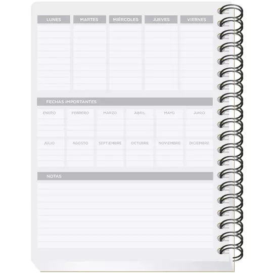 Cuaderno forma francesa SCRIBE Clásico c uadro grande (7 mm) con 100 hojas