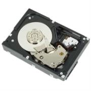 Disco Duro Dell 1 TB 7.2K RPM SATA 6Gbps 512n 3.5" Cabled HDD
